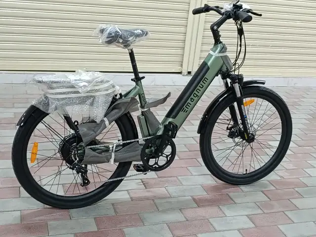 Электронный велосипед, Душанбе