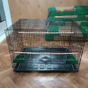 Клетка, Душанбе