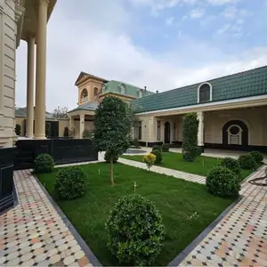 Дарахтони Ороиши барои Хавлихо, Душанбе