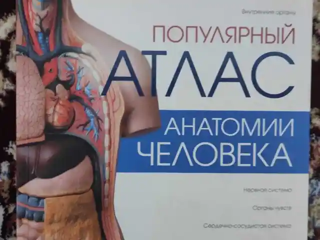 Атлас Анатомия человека, Душанбе