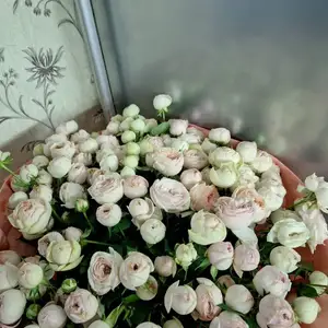 Букет для подарка, Душанбе