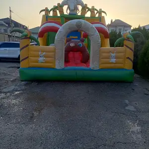Батут Лимпопо, Душанбе