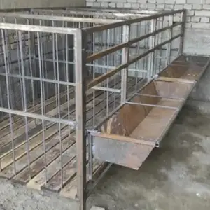 Вольер, Джаббор Расулов