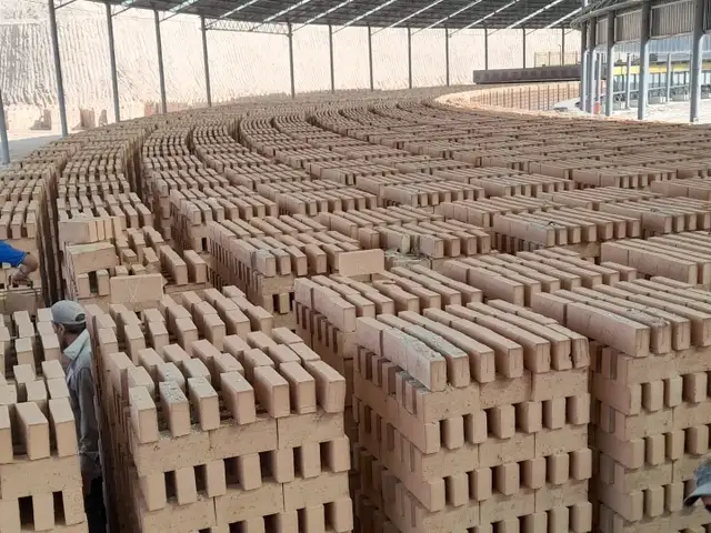 Кирпич Робот, Душанбе