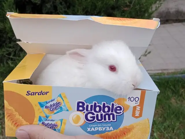 Харгушча 9км, Душанбе