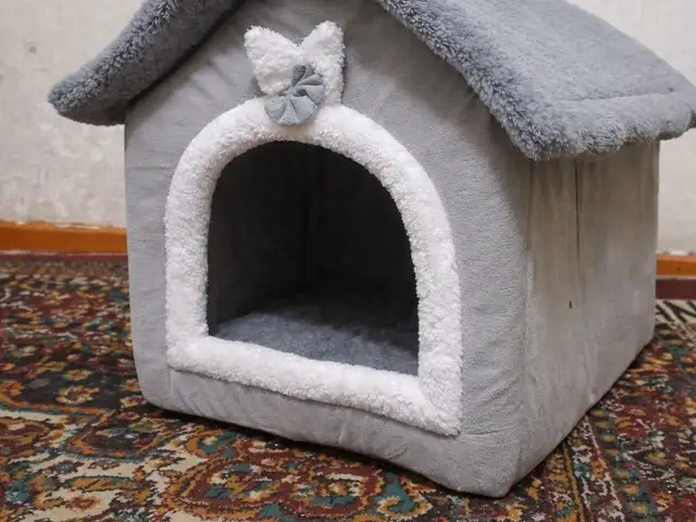 Большой домик, Душанбе