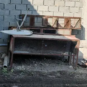 Клетка барои Харгуш, Бободжон Гафуров