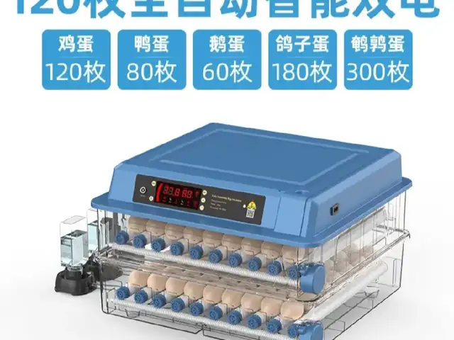 Инкубатор 120шт, Душанбе
