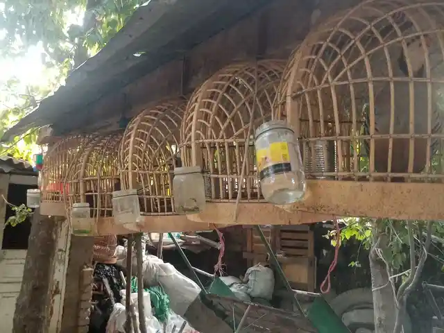 Кабк, Душанбе