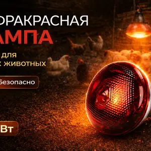 Инфракрасная лампа 275Вт, Душанбе