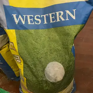 Газон WESTERN, Душанбе