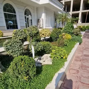 Себарга, Душанбе