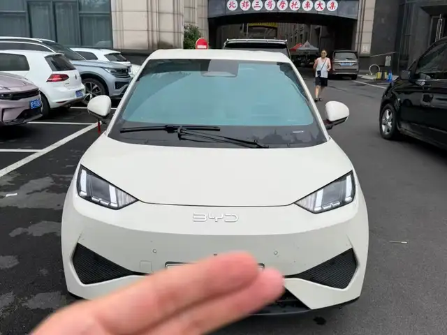 BYD Seagull