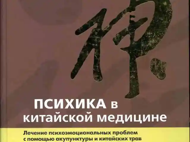 Книга Психика в китайской медицине, Душанбе