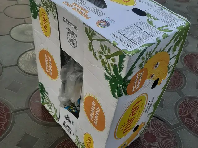Коробка из под банана, Канибадам