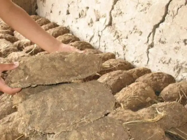 Тапаки калон, Рӯдакӣ
