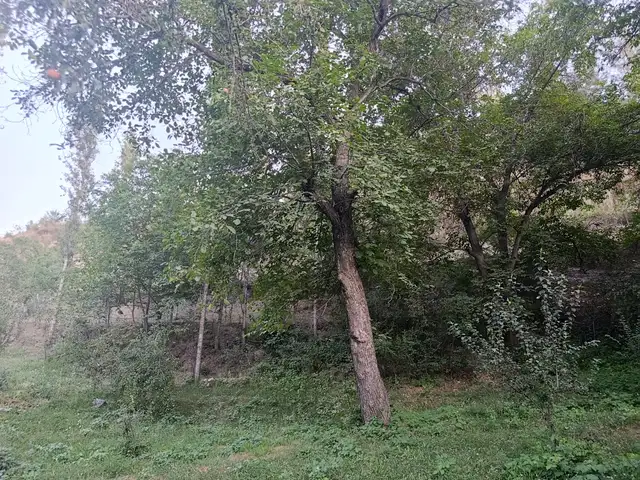 2 этажн. 2-комн. дом, 13 соток, деҳаи Кулоли Ҷамоати деҳоти Рӯдакӣ, Панҷакент - 7
