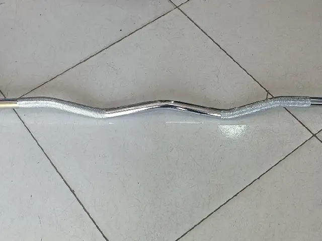 Гриф зиг заг Олимпийский, Душанбе