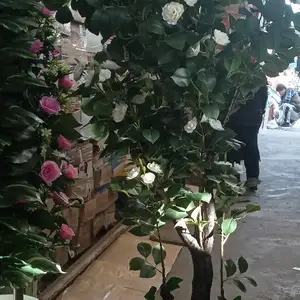 Дарахт, Душанбе