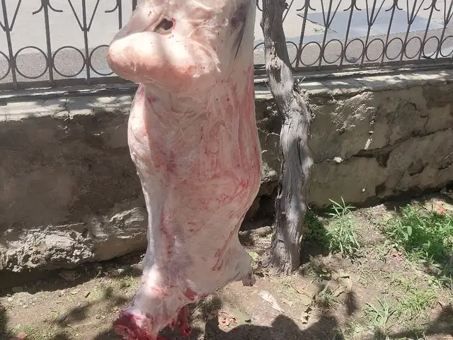 Услуги мясника, Худжанд