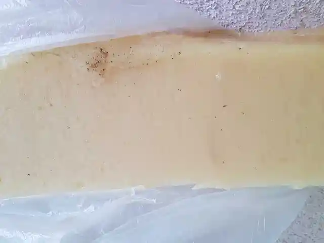 Парафин российский, Душанбе