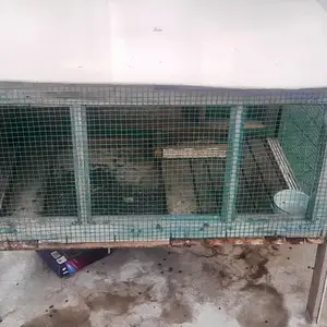 Хона барои харгуш, Худжанд