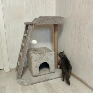 Домик для кошки, Душанбе