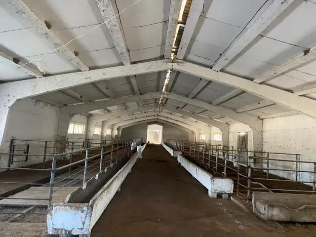 Птицеферма, Душанбе