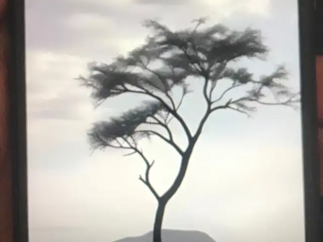 Apple iPhone X, 64 gb, Исфара