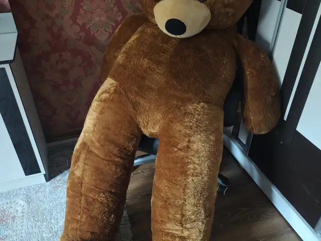 Мишка 2.5м, Душанбе
