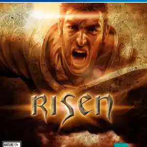 Игра Risen для PS-4 / 6.72 / 9.00 / 11.00 / 11.52 / 12.02 /, Душанбе