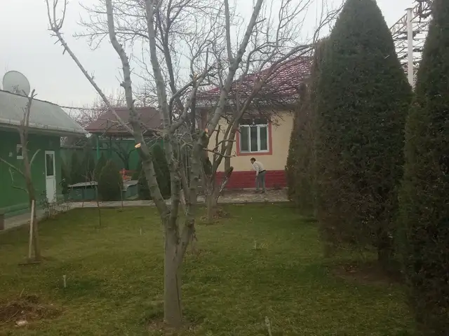 Услуги садовника, Душанбе