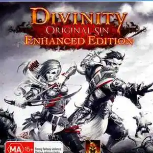 Игра Divinity Original Si для PS-4 / 6.72 / 9.00 / 12.02 / 13.00 /, Душанбе
