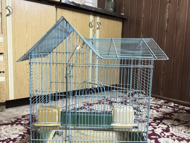 Клетка для птиц, Душанбе