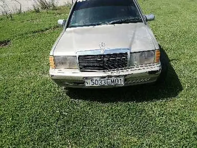 Mercedes-Benz W201