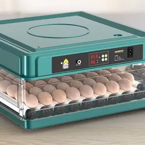 Инкубатор, Истаравшан