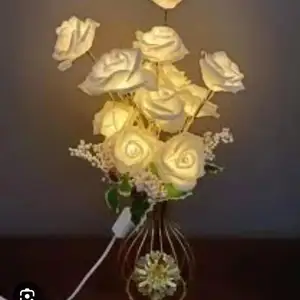 Ночник Роза, Душанбе