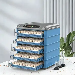 Инкубатор 500, Душанбе