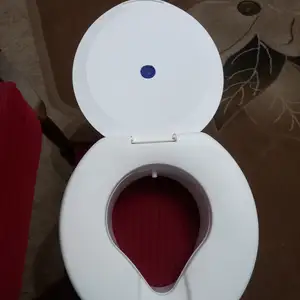 Насадка на унитаз, Худжанд
