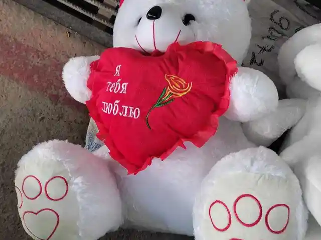 Мишка, Душанбе