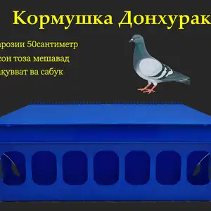 Кормушка/Донхураки кафтар, Душанбе