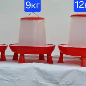 Донхурак/Кормушка почадор, Душанбе