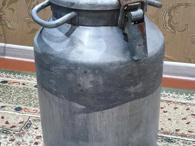 Фляга, Душанбе