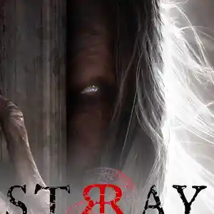 Игра Stray souls для компьютера-пк-pc, Душанбе