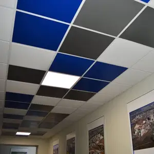 Армстронг разноцветные, Душанбе