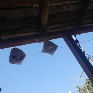 Бедона, Бобоҷон Ғафуров
