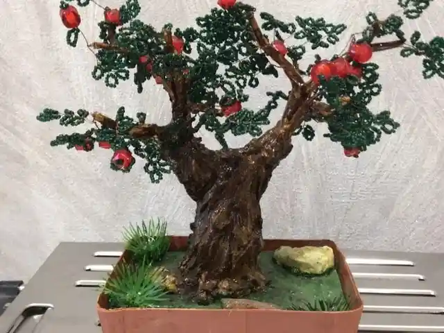 Бисерное дерево, Душанбе