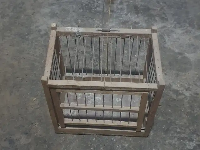 Клетка, Хуҷанд