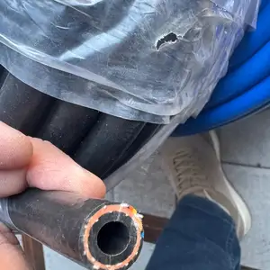 Шланг газ, Душанбе