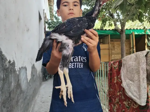 Дакан, Хуҷанд